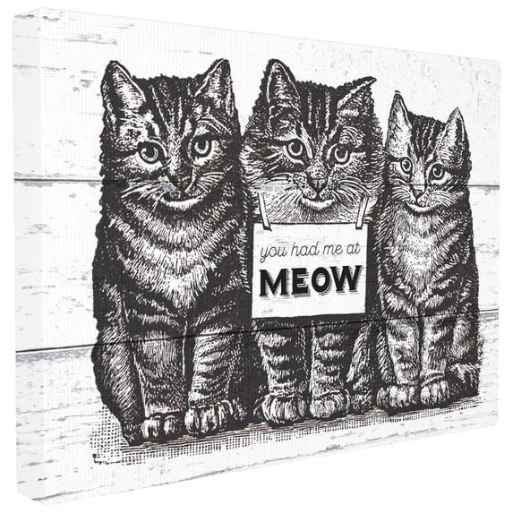 The Stupell Home Decor Collection You Had Me at Meow Cats Oversized Stretched Canvas Wall Art