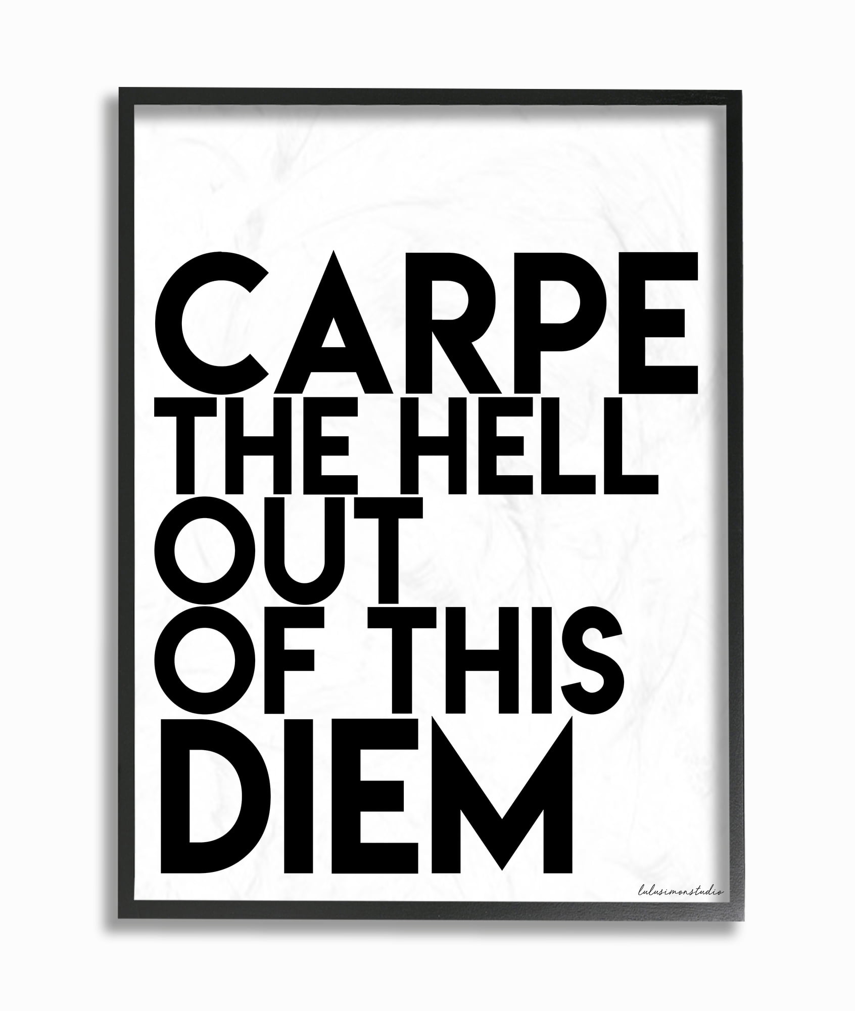 The Stupell Home Decor Collection lulusimonSTUDIO Black and White Carpe Hell Out Of This Diem Typography Framed Giclee Texturized Art, 11 x 1.5 x 14