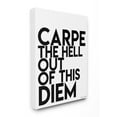 thumbnail image 1 of The Stupell Home Decor Collection lulusimonSTUDIO Black and White Carpe Hell Out Of This Diem Typography Stretched Canvas Wall Art, 16 x 1.5 x 20, 1 of 4