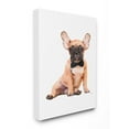thumbnail image 1 of The Stupell Home Decor Fashion Forward Frenchie Puppy with a Bow Tie Canvas Wall Art, 1 of 2
