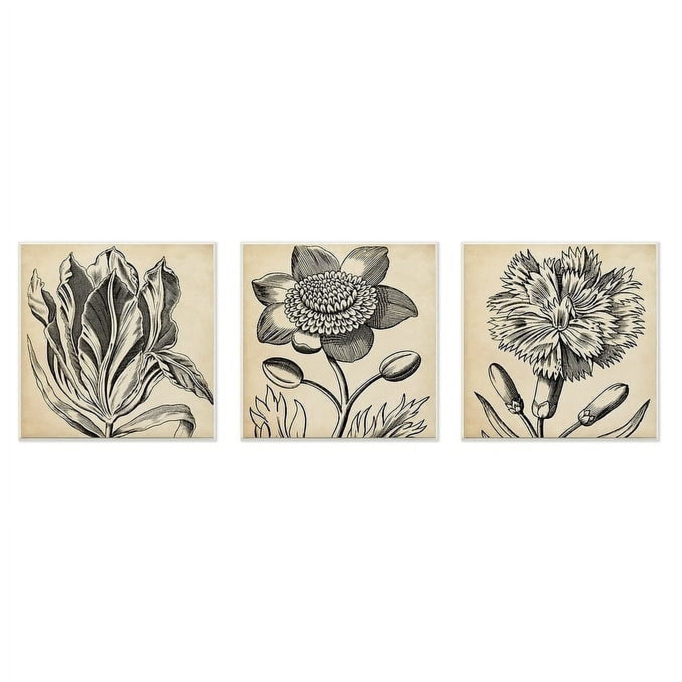 The Stupell Home Decor Graphic Black and Tan Botanical Drawing Trio Wall Plaque Art, 3pc, each 12 x 12