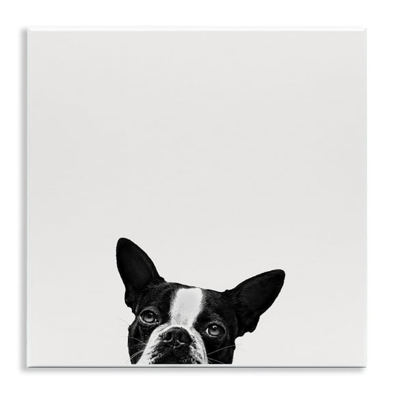 The Stupell Home Decor Minimal Monochrome Dog Peeking From Below Wall Plaque Art
