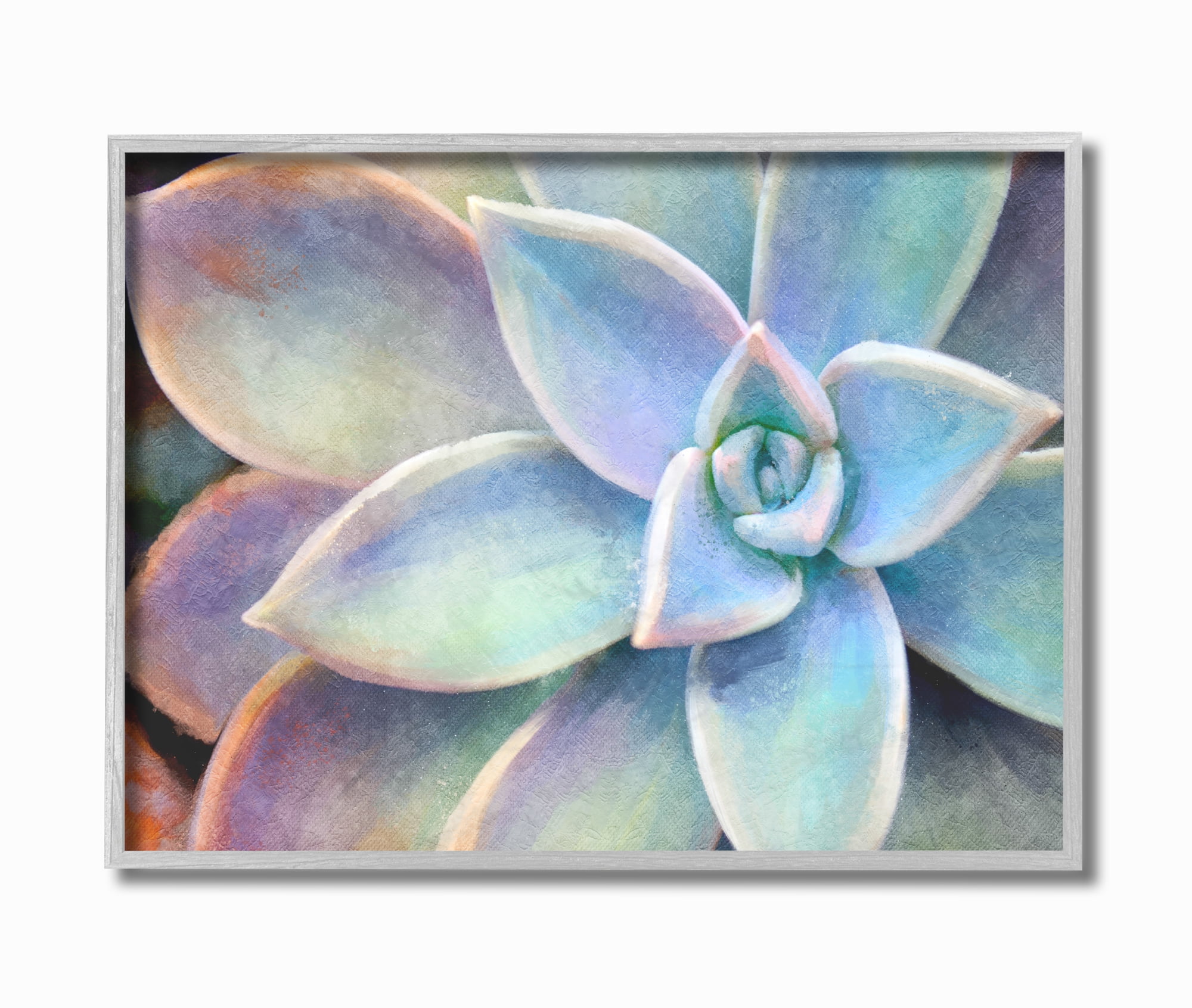 Vibrant Succulent Bloom Multicolor Canvas Art with Gray Frame