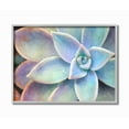 thumbnail image 1 of The Stupell Home Decor Succulent Plant Vibrant Bloom Painting Gray Framed Texturized Art, 1 of 8
