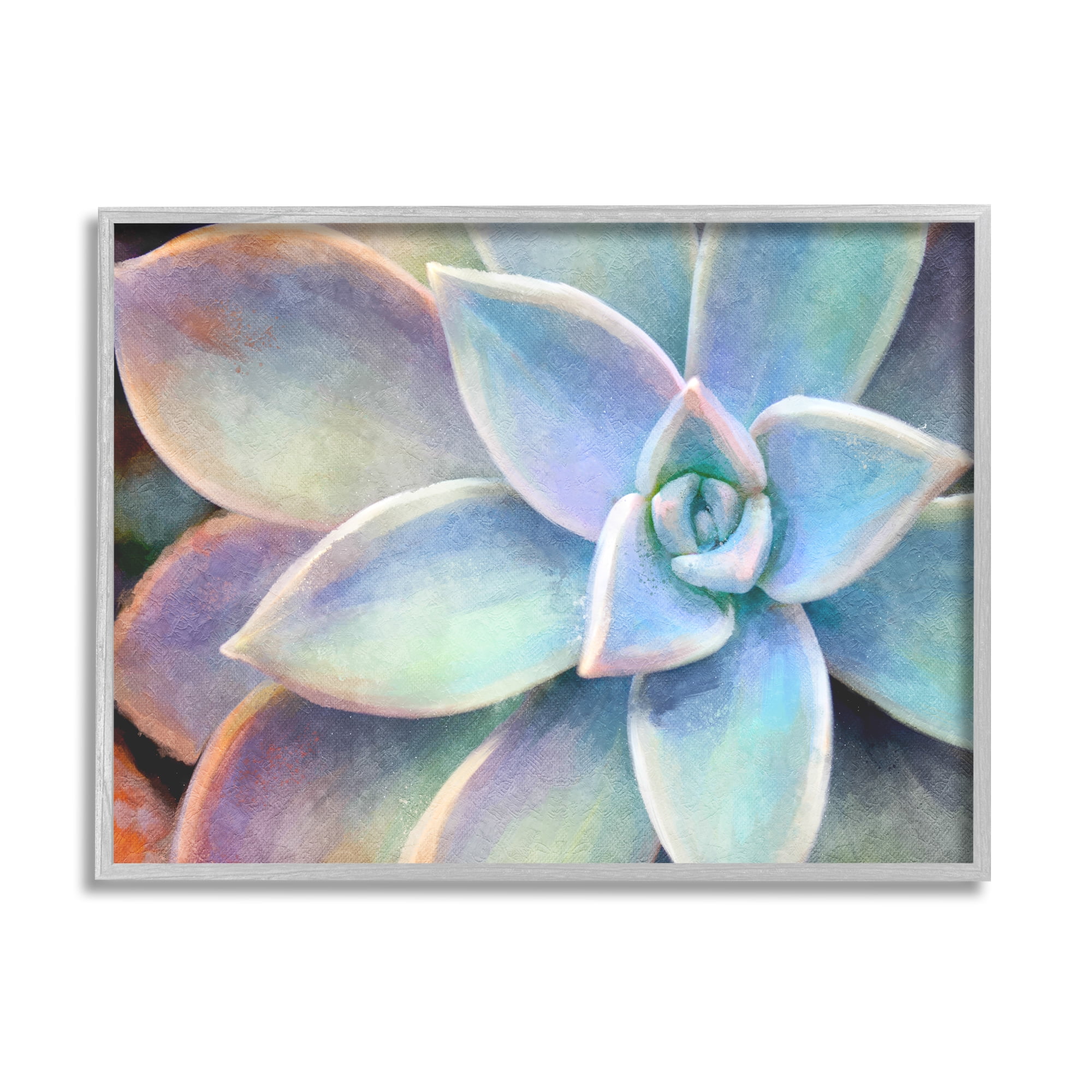Vibrant Succulent Bloom Multicolor Canvas Art with Gray Frame