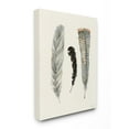 thumbnail image 1 of The Stupell Home Decor Three Soft Grey and Black Watercolor Feathers Canvas Wall Art, 1 of 2