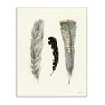 thumbnail image 1 of The Stupell Home Decor Three Soft Grey and Black Watercolor Feathers Wall Plaque Art, 1 of 5