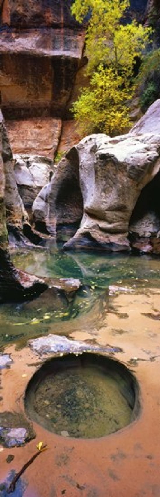 The Subway at Zion National Park Utah USA Canvas Art - Panoramic Images (36 x 12)