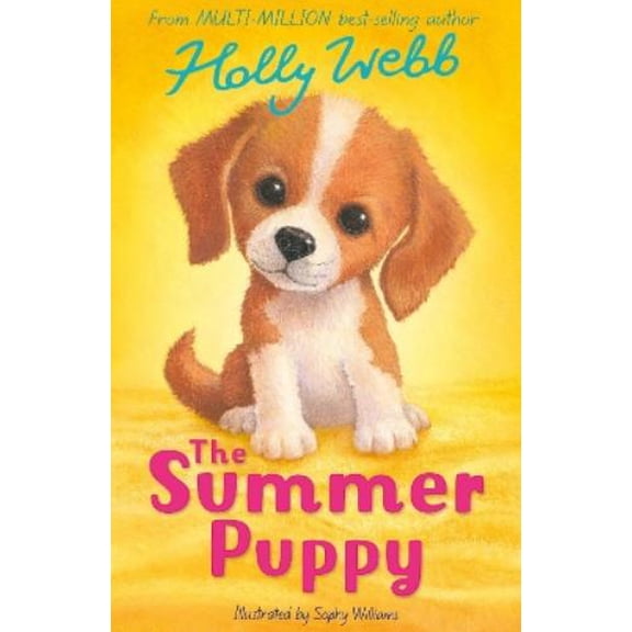 Holly Webb The Summer Puppy (Paperback) Holly Webb: Animal Stories