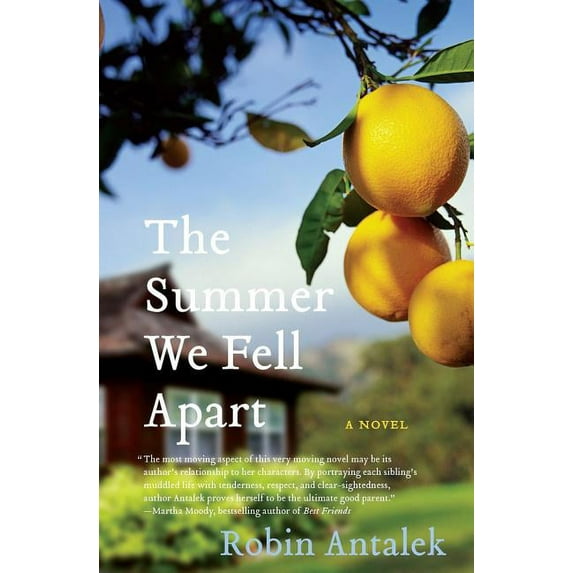 The Summer We Fell Apart, (Paperback)