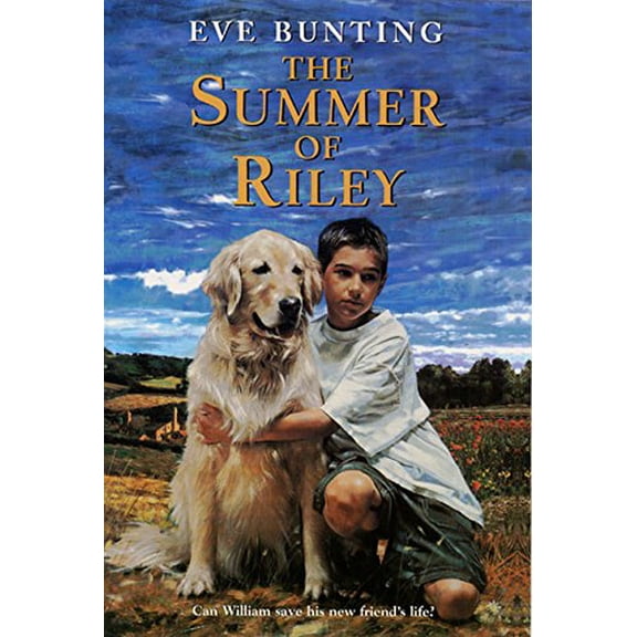 Pre-Owned The Summer of Riley (Paperback) 0064409279 9780064409278