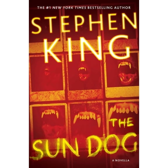 The Sun Dog, (Paperback)