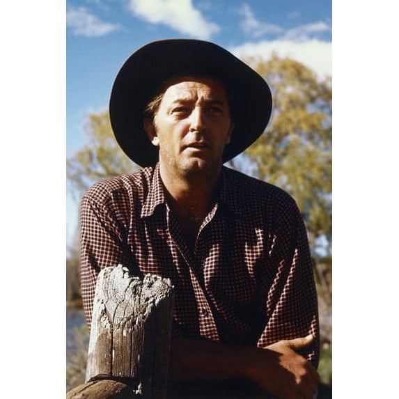The Sundowners Robert Mitchum 24x36 Poster