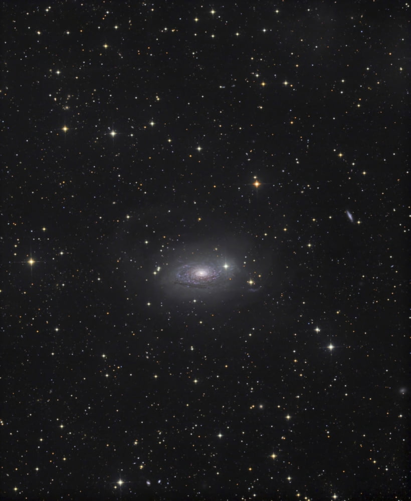 The Sunflower Galaxy Canvas Art - Filipe AlvesStocktrek Images (25 x 31)