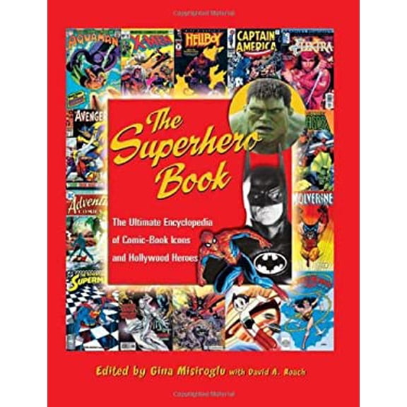 Pre-Owned The Superhero Book (Paperback) 1578591546 9781578591541