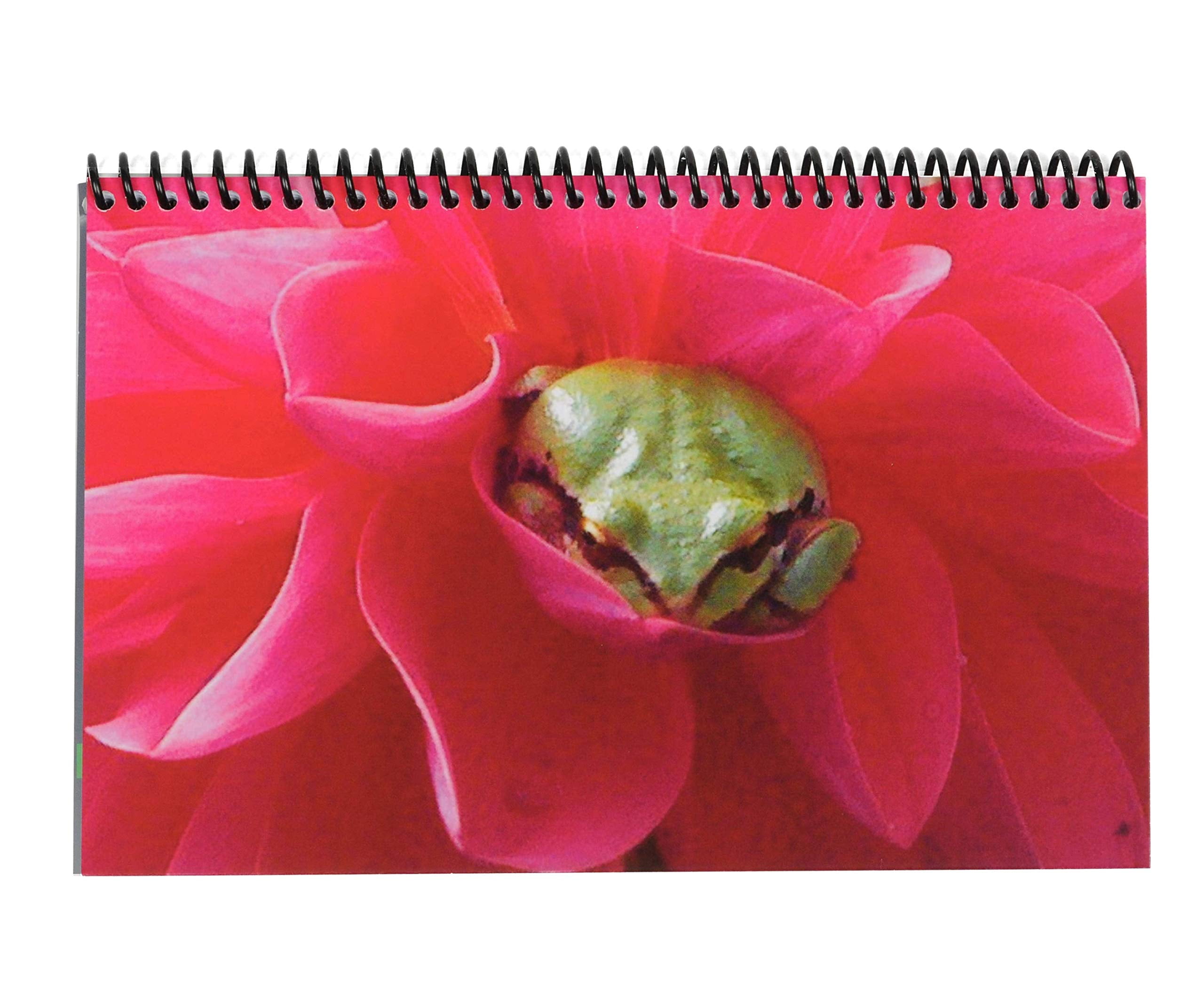 The Superior Register Simple Account Tracker Big Checkbook Register