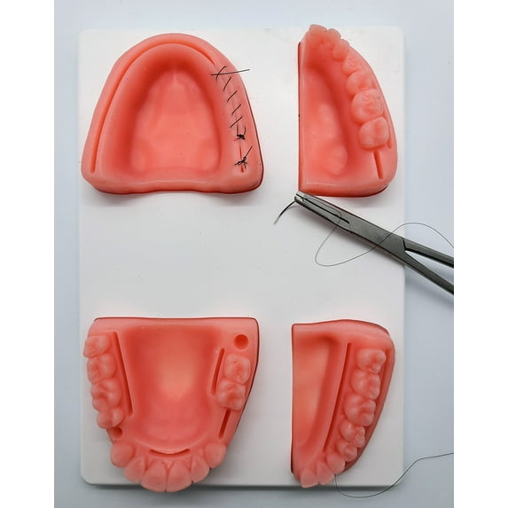 The Suture Buddy Dental Suture Pad