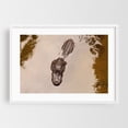 thumbnail image 1 of The Swamp - Florida Photography Wildlife Animal Aquatic Nature Water Jungle Marine Life White Framed Wall Art Print 5 x 7 inches, 1 of 3