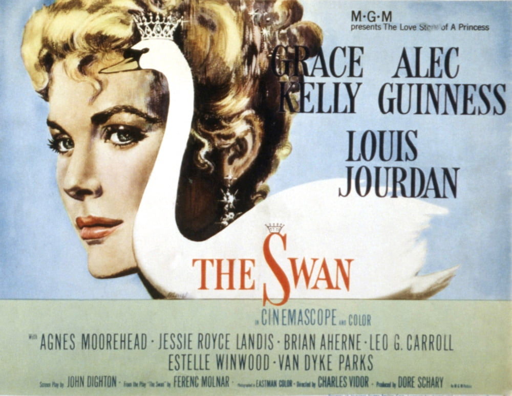 The Swan U Canvas Art - (28 x 22)
