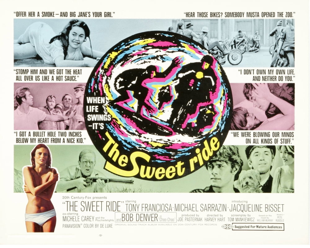 The Sweet Ride Canvas Art - (28 x 22)