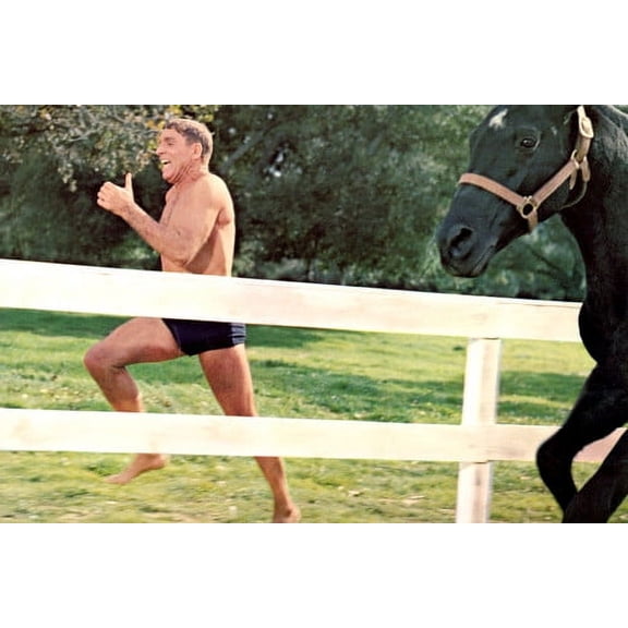 The Swimmer Burt Lancaster 24x36 Poster