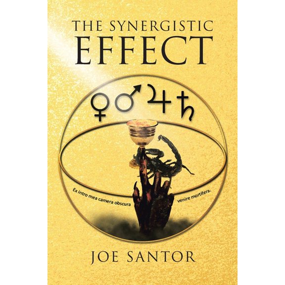 The Synergistic Effect (Paperback)