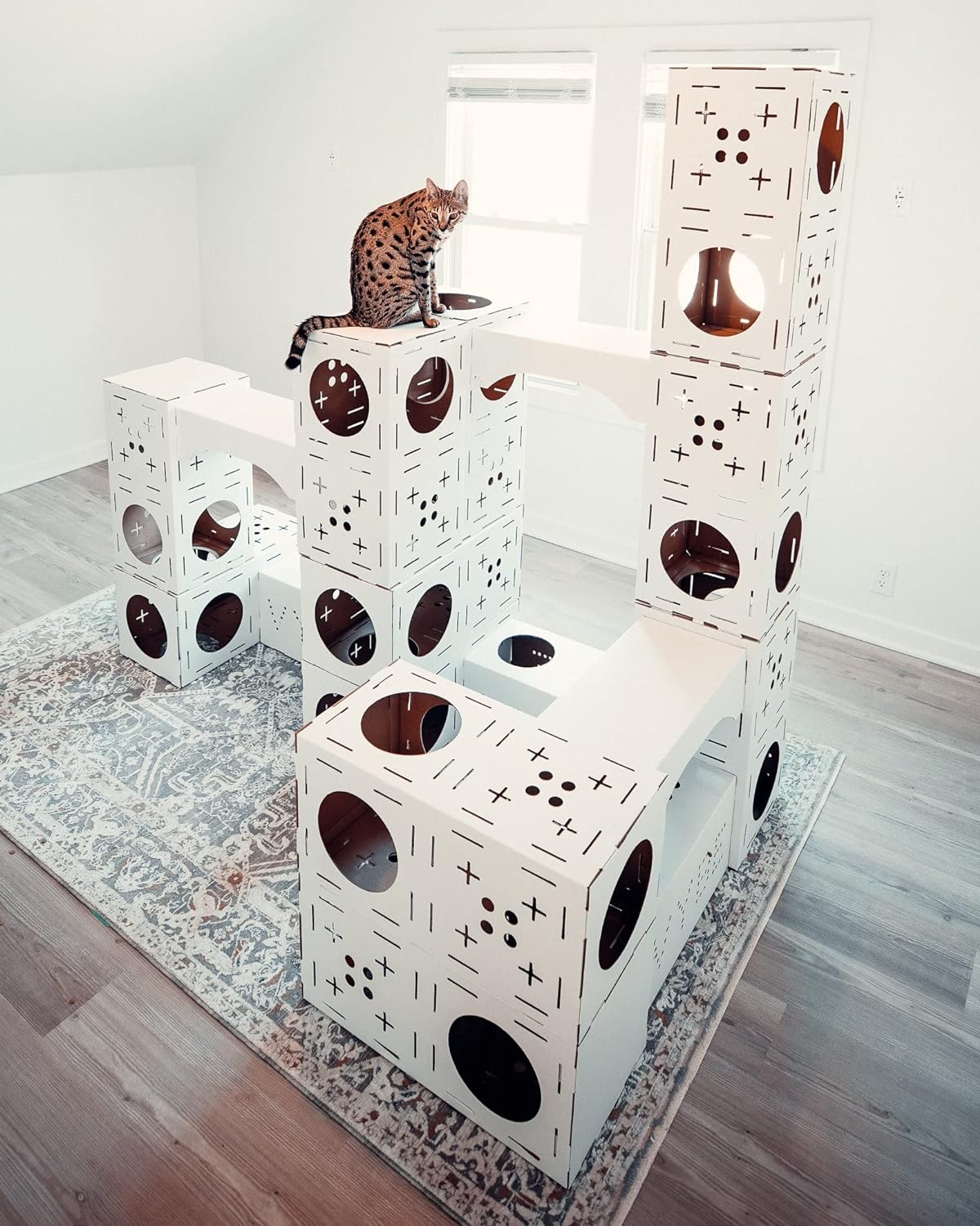 The Taj MaPAW VYBE Cats Customizable & Modular Cardboard Cat House