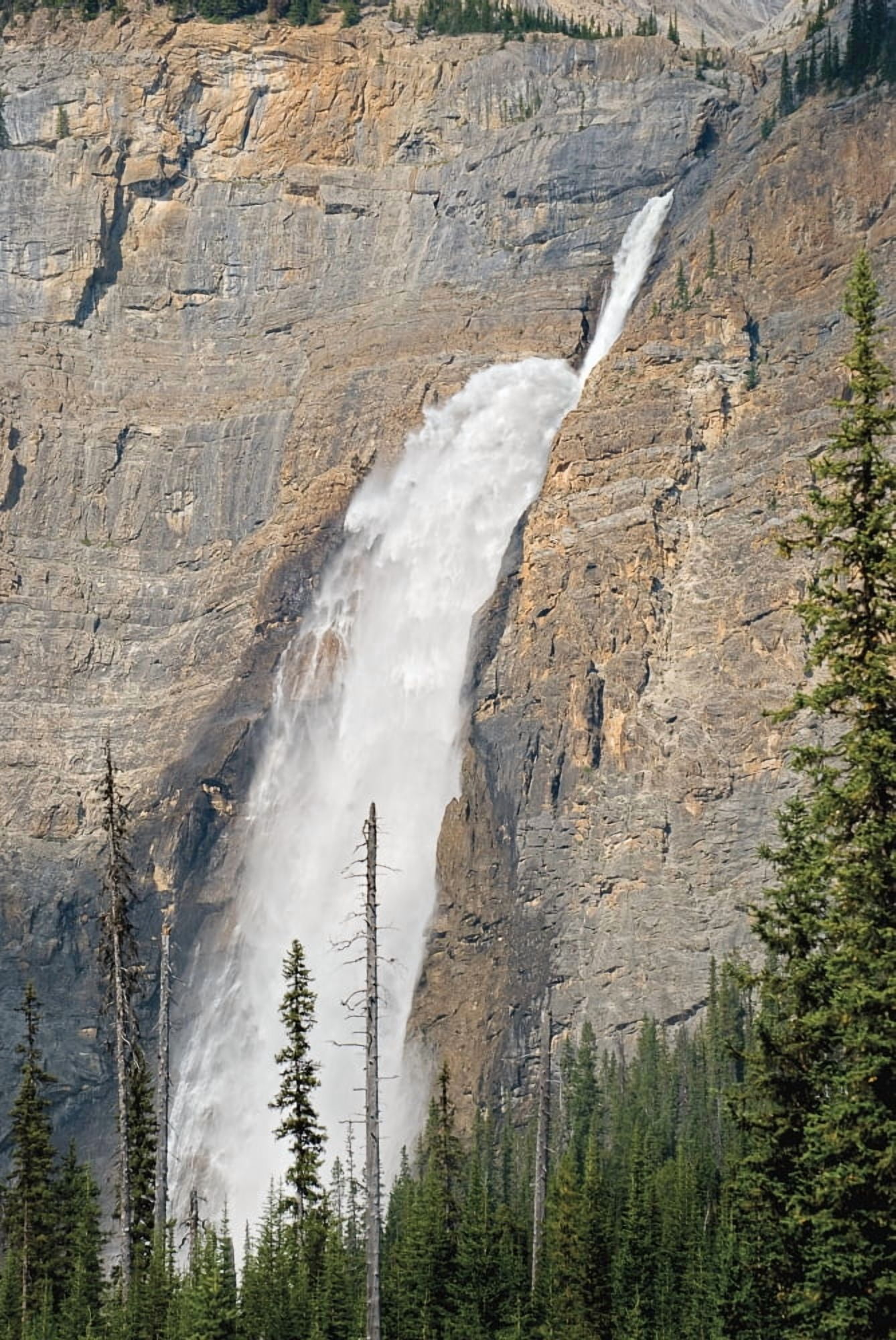 The Takakaw Falls Of Yoho National Park British Columbia Canada Canvas Art - Philippe Widling Design Pics (24 x 36)
