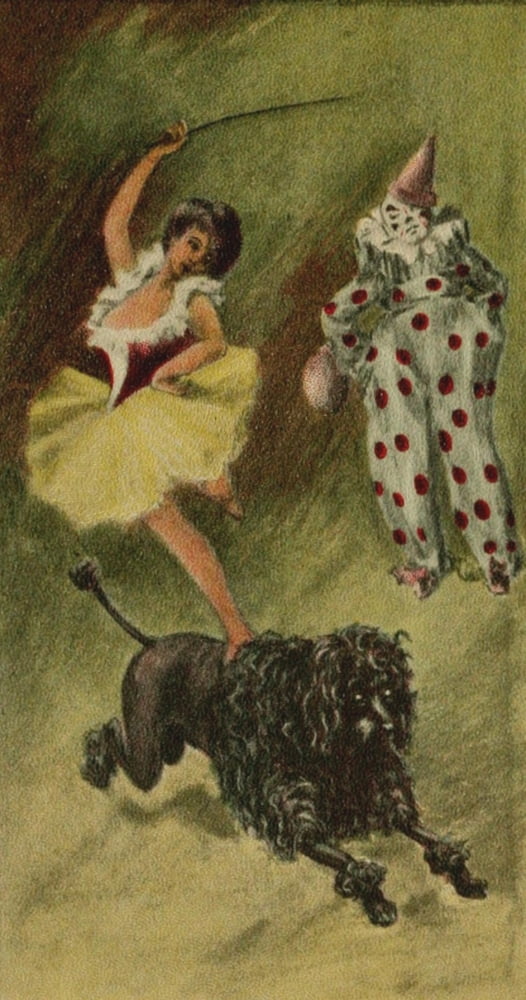 The Tale of a Poodle 1903 Running from the circus Canvas Art - Unknown (18 x 24)