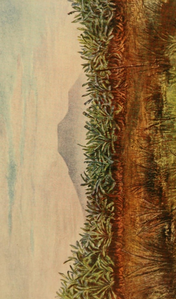 The Tanganyika Problem 1903 Active cone of Kirunga-Cha-Yongo Canvas Art - John S Moore (18 x 24)