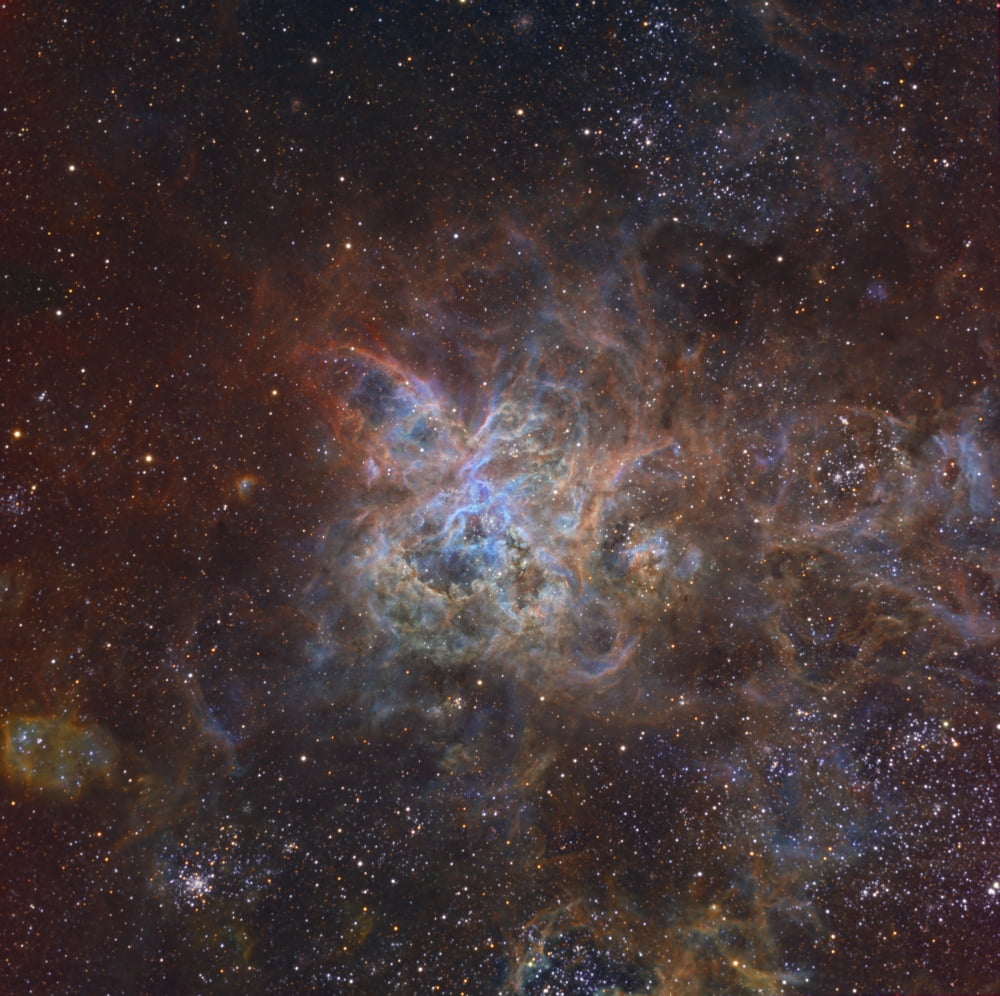 The Tarantula Nebula Canvas Art - Ken CrawfordStocktrek Images (29 x 28)