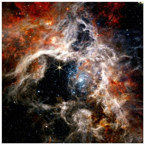 "The Tarantula Nebula" Frameless Free Floating Reverse Printed Tempered Art Glass Wall Art