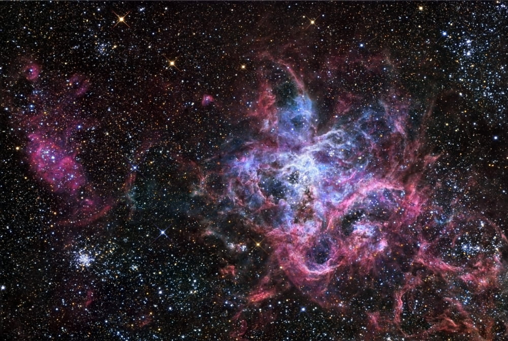 The Tarantula Nebula a star forming region located in the Large Magellanic Cloud Canvas Art - R Jay GaBanyStocktrek Images (17 x 12)