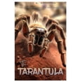 thumbnail image 1 of The Tarantula: The Silent Predators and their Cultural Legacy, (Paperback), 1 of 1