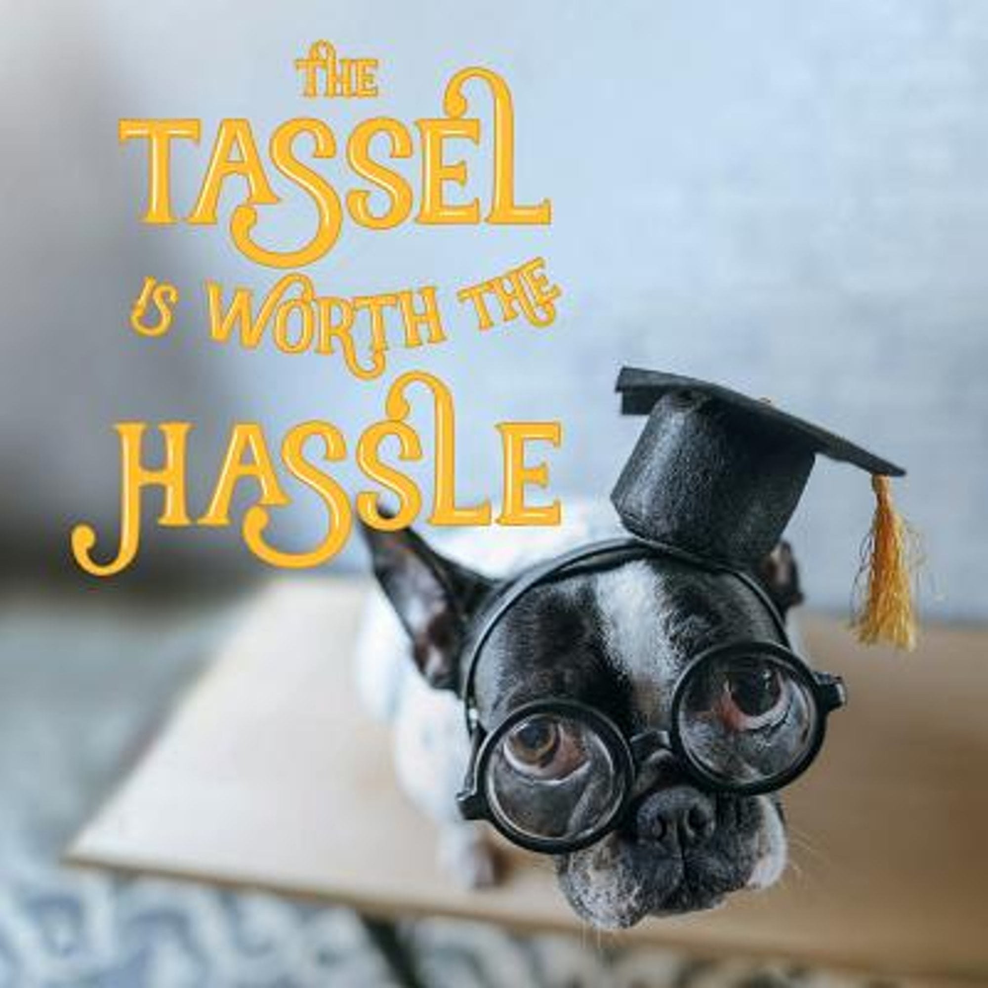 Pre-Owned The Tassel Is Worth the Hassle (Hardcover 9781423649007) by Gibbs Smith (Creator)