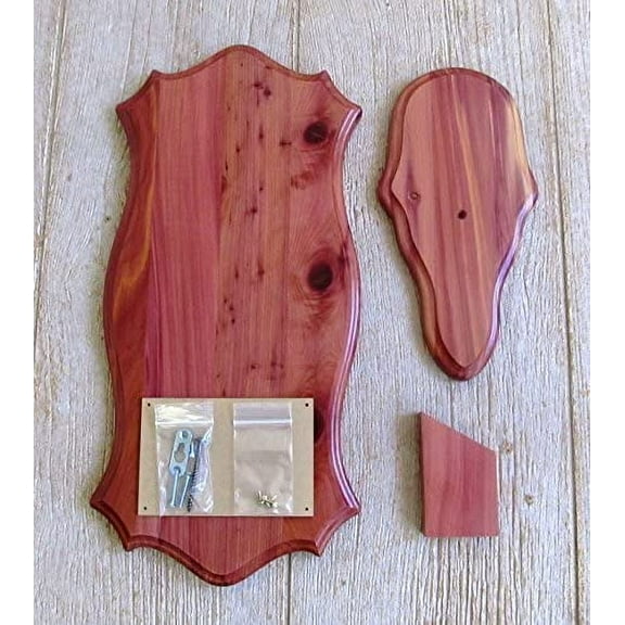 The Taxidermists Woodshop Cedar European Mount Picture Pedestal Plaque