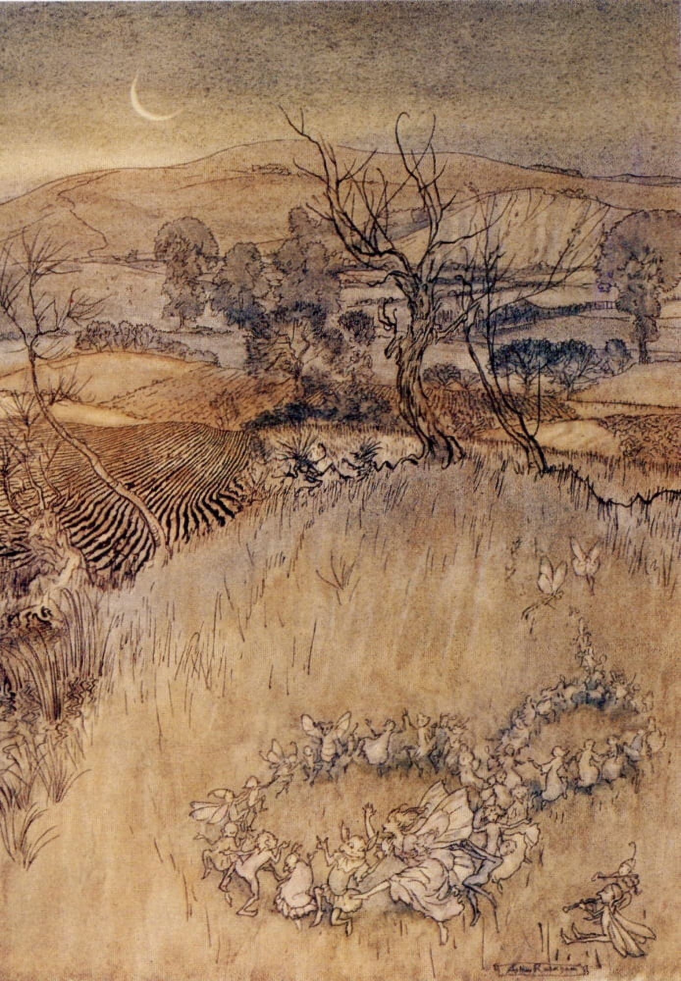 The Tempest 1926 Sour ringlets make Canvas Art - A Rackham (24 x 36)