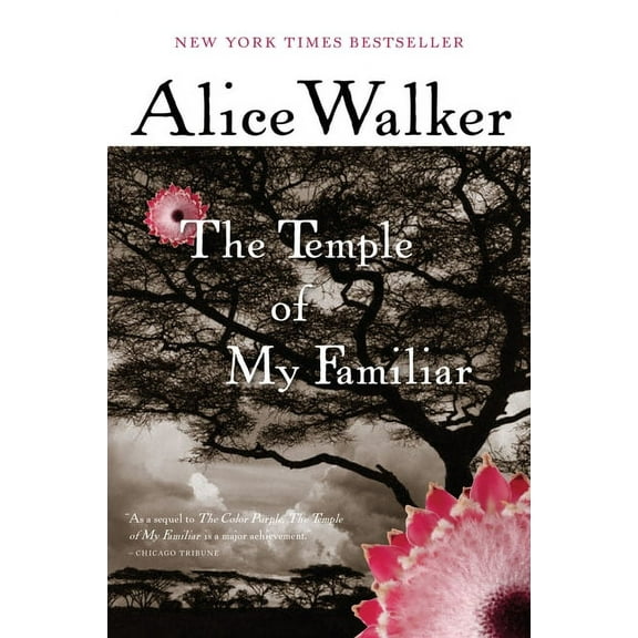 The Temple of My Familiar, (Paperback)