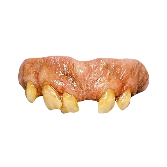 The Texas Chainsaw Massacre 2 Leatherface Adult Costume Teeth