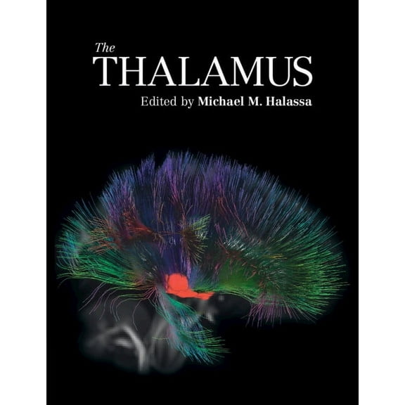 The Thalamus, (Paperback)
