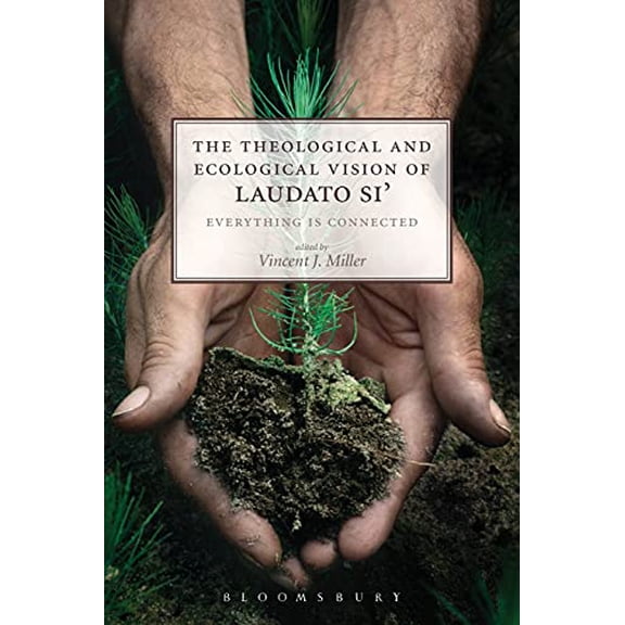 Pre-Owned The Theological and Ecological Vision of Laudato Si': Everything is Connected, 9780567673152, 0567673154, Paperback,