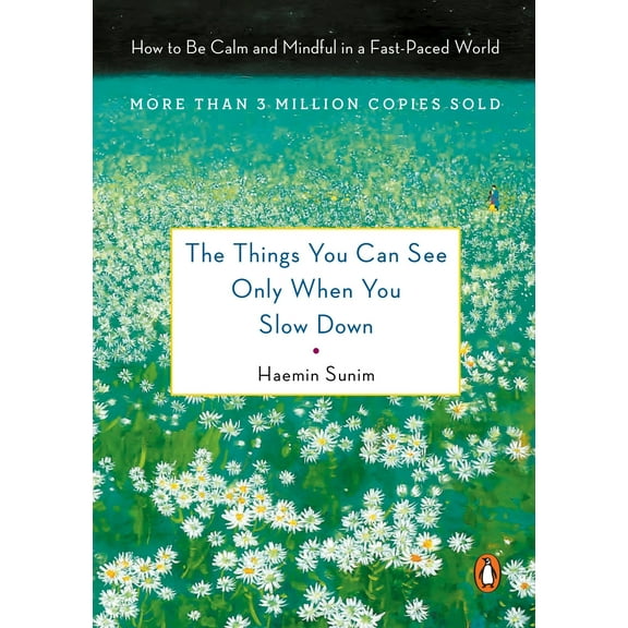 The Things You Can See Only When You Slow Down : How to Be Calm in a Busy World (Hardcover)
