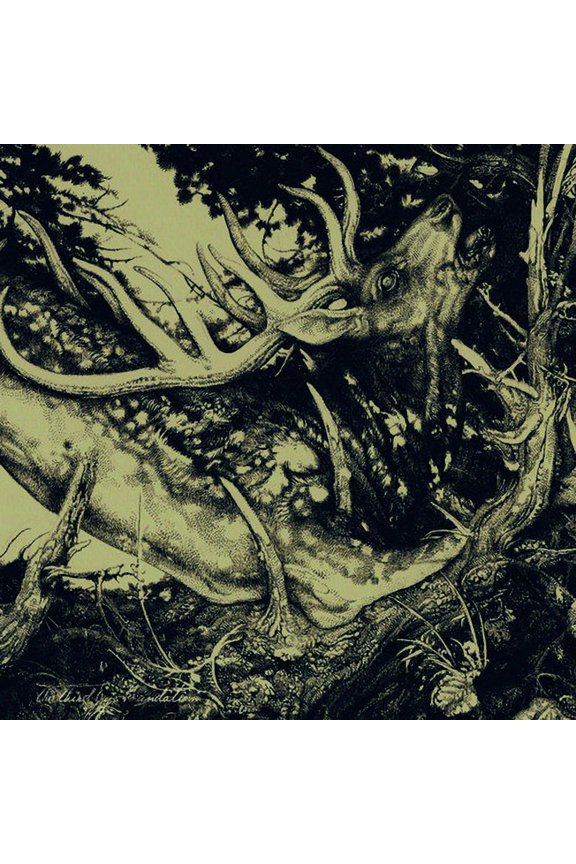 The Third Eye Foundation - Dark - Rock - CD