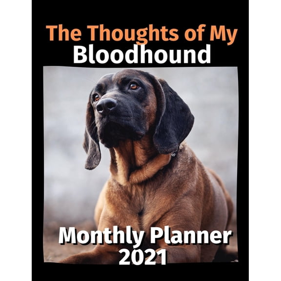 The Thoughts of My Bloodhound : Monthly Planner 2021 (Paperback)