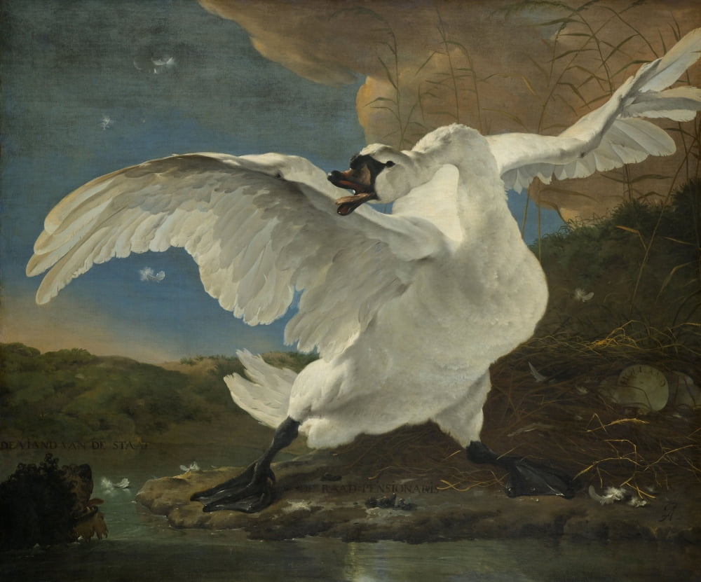 The Threatened Swan Canvas Art - (36 x 24)