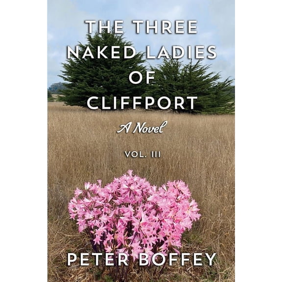 The Three Naked Ladies of Cliffport (Paperback)