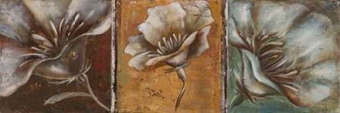 The Three Poppies I Canvas Art - Patricia Pinto (12 x 36)