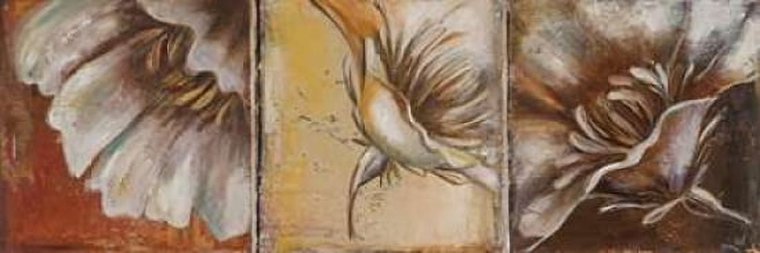 The Three Poppies II Canvas Art - Patricia Pinto (12 x 36)