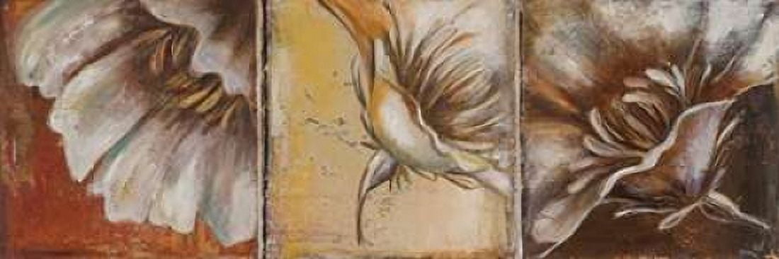 The Three Poppies II Canvas Art - Patricia Pinto (8 x 24)
