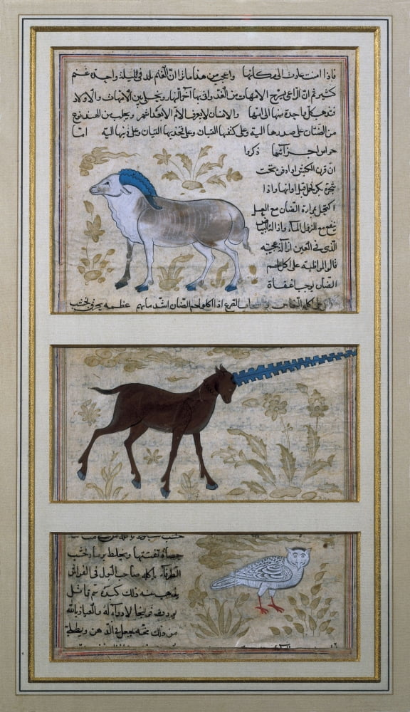 The Three Symbolic Animals Of Alchemy Canvas Art - (18 x 24)